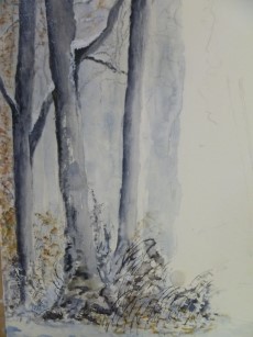Wintery Copse